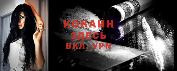 mdpv Заводоуковск
