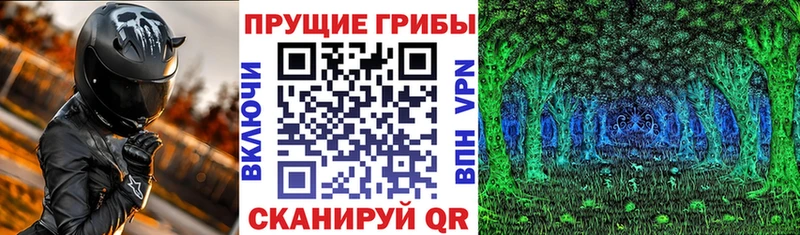 Псилоцибиновые грибы мухоморы  Новомосковск 